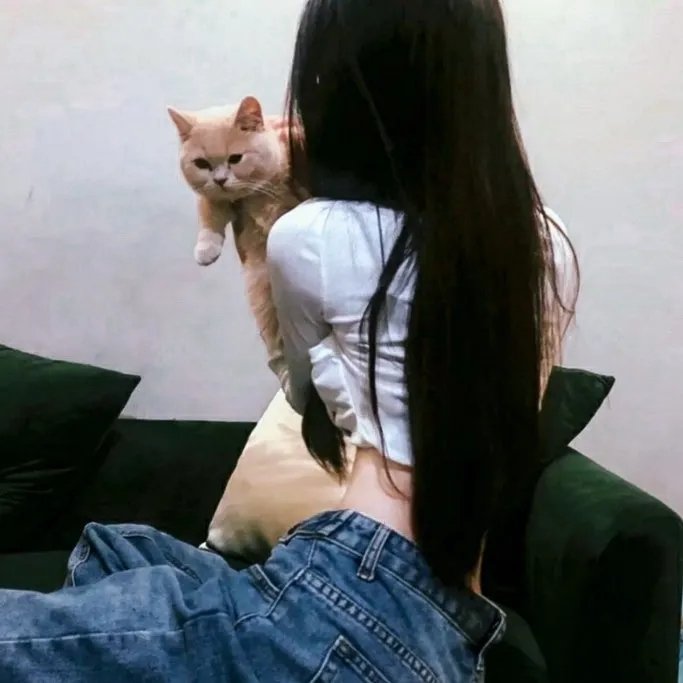 闪婚