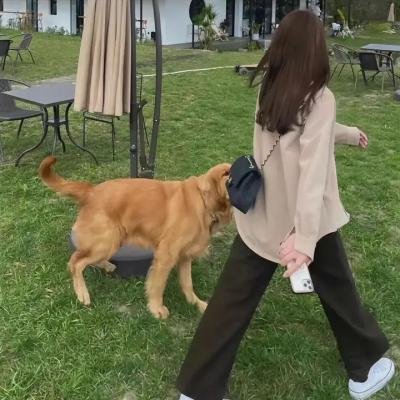 女孩青春纪事